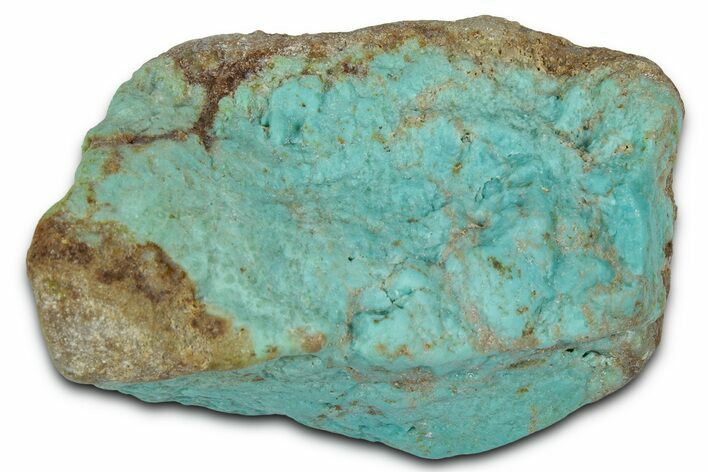 Tumbled Turquoise Specimen - Number Mine, Carlin, NV #331223
